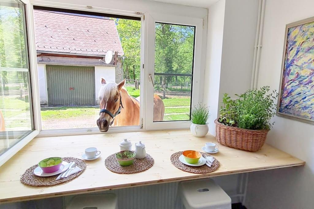 Cosy Family Apartment Reichenau Eksteriør bilde